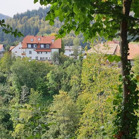 Ferienwohnung auf dem Bückle Kleines Wiesental Exterior foto