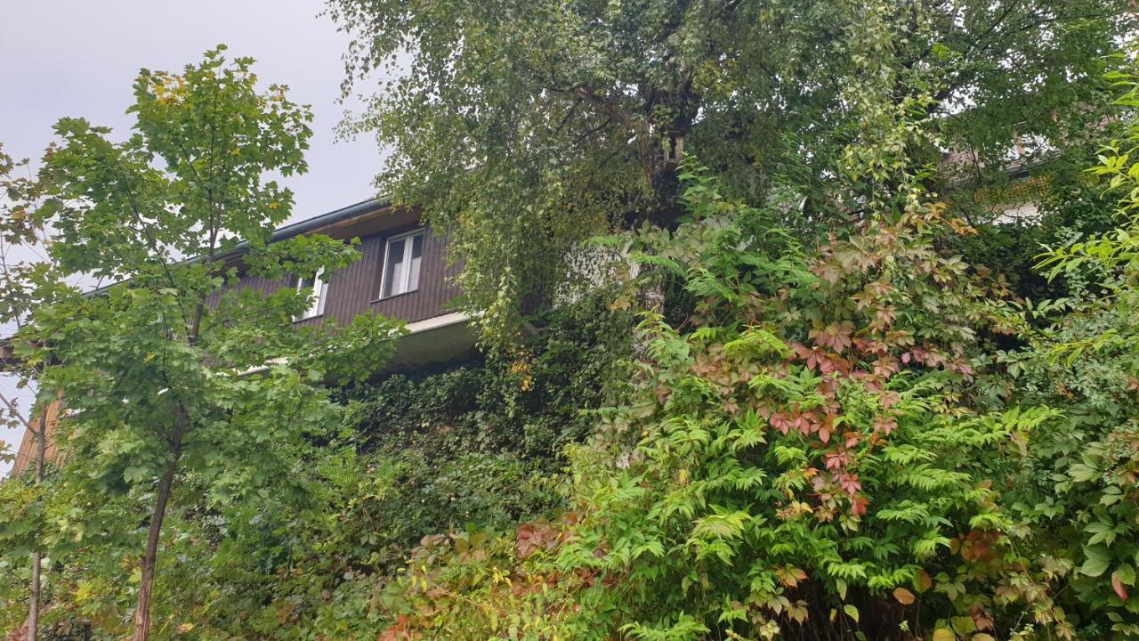 Ferienwohnung auf dem Bückle Kleines Wiesental Exterior foto